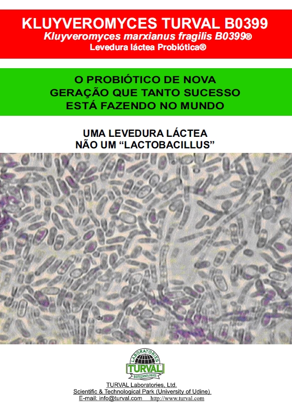 copertina depliant .jpg